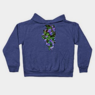 Illinois Violets Kids Hoodie